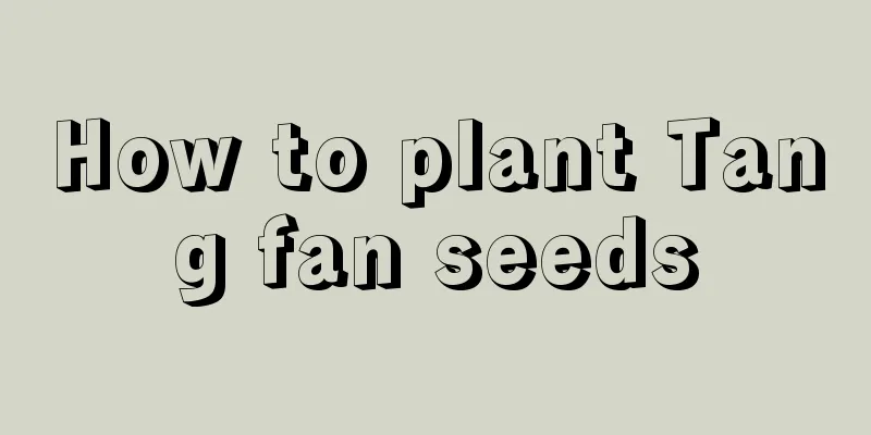 How to plant Tang fan seeds