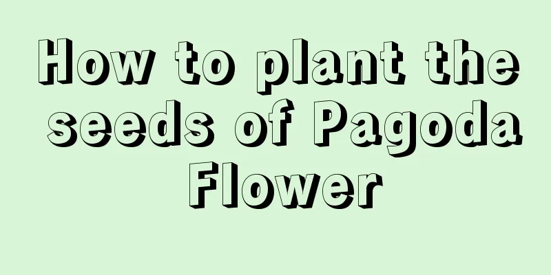 How to plant the seeds of Pagoda Flower