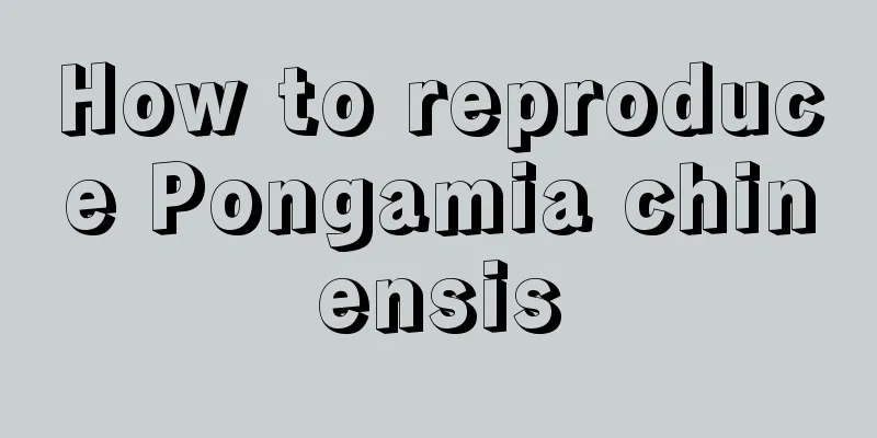 How to reproduce Pongamia chinensis