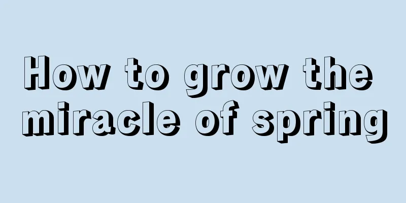 How to grow the miracle of spring