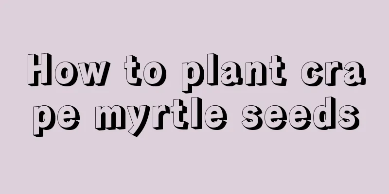 How to plant crape myrtle seeds