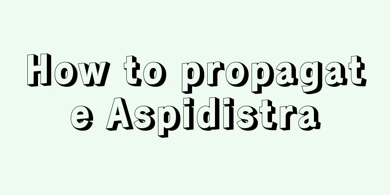 How to propagate Aspidistra