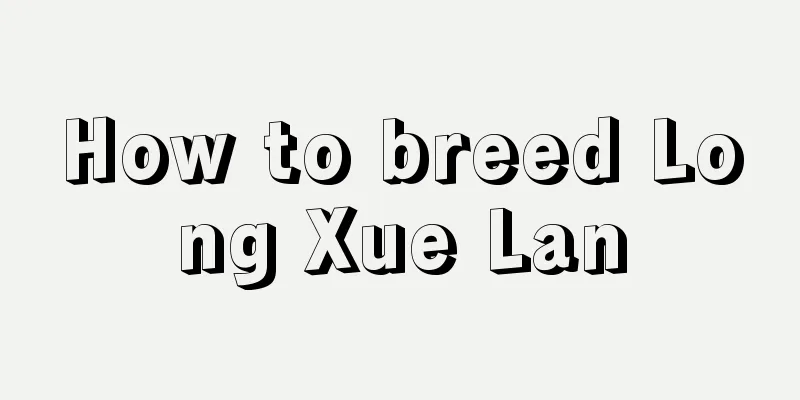 How to breed Long Xue Lan