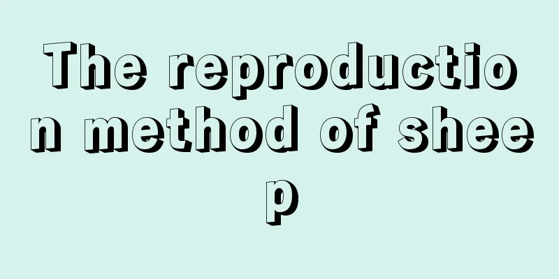 The reproduction method of sheep