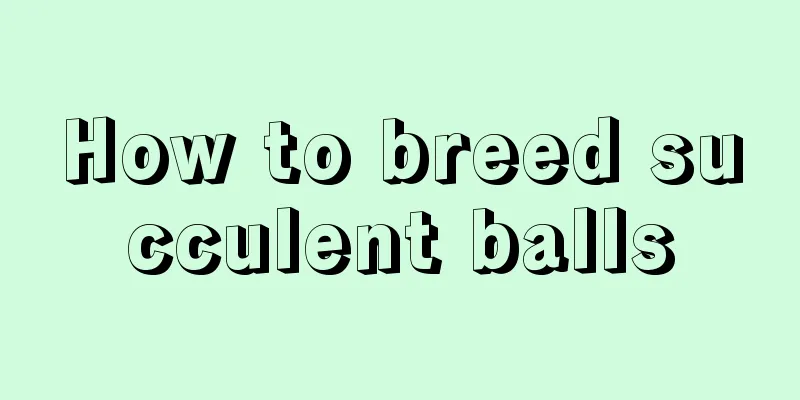 How to breed succulent balls