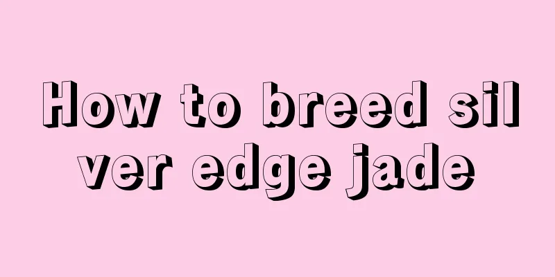 How to breed silver edge jade