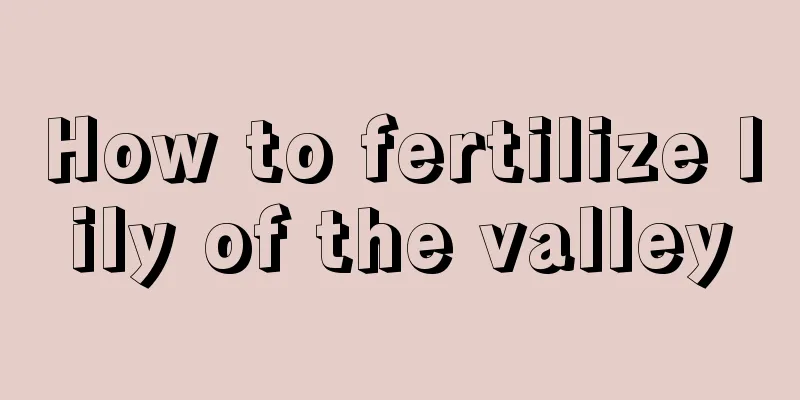 How to fertilize lily of the valley