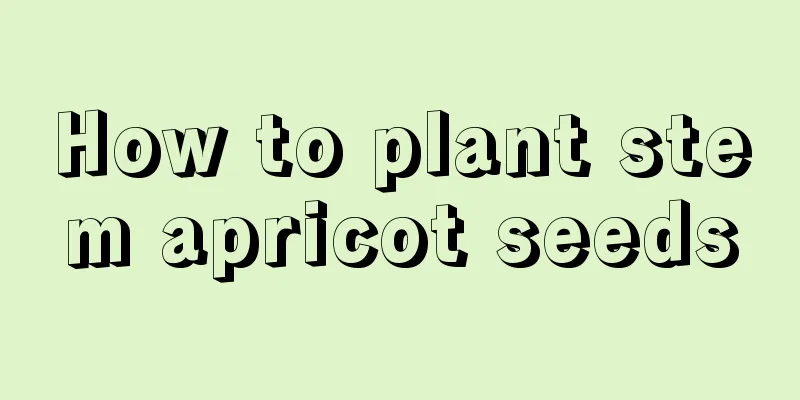 How to plant stem apricot seeds