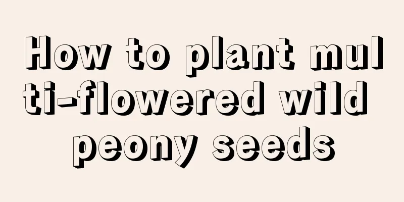 How to plant multi-flowered wild peony seeds