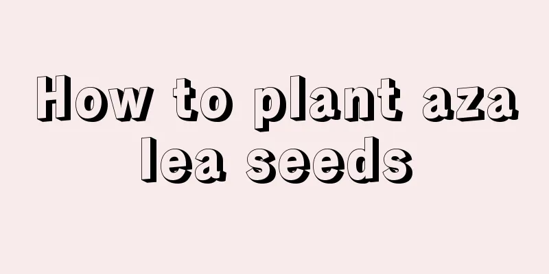 How to plant azalea seeds