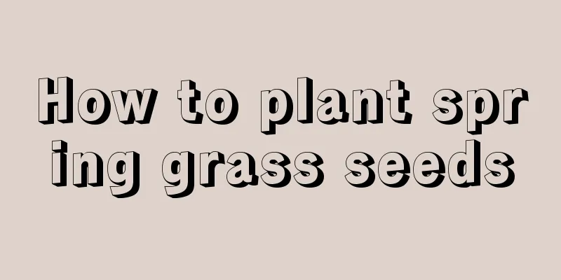 How to plant spring grass seeds