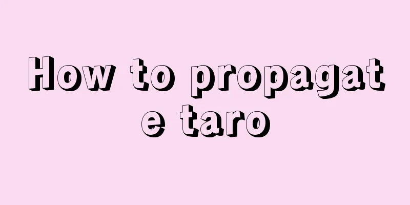 How to propagate taro