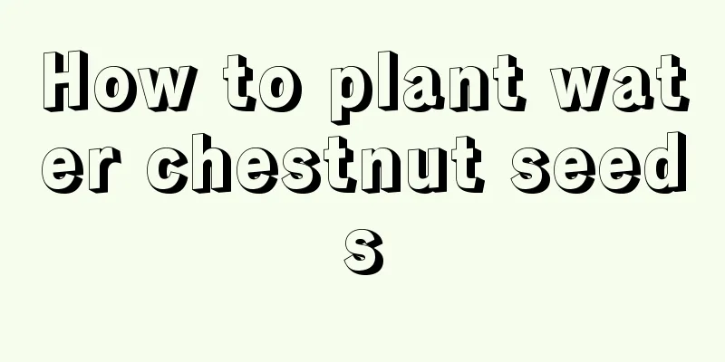 How to plant water chestnut seeds