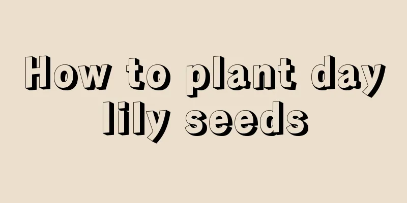 How to plant daylily seeds