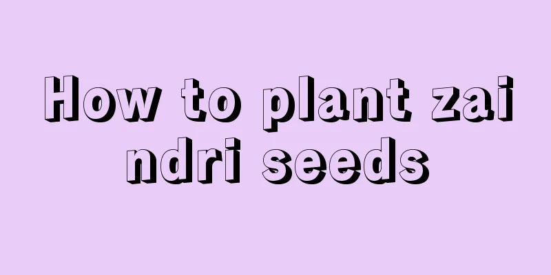 How to plant zaindri seeds