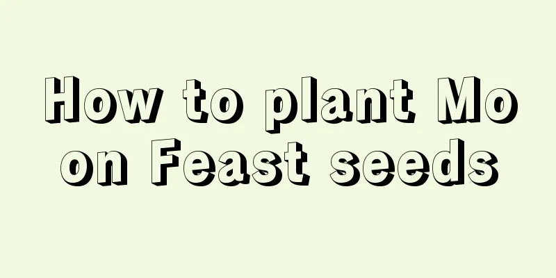 How to plant Moon Feast seeds