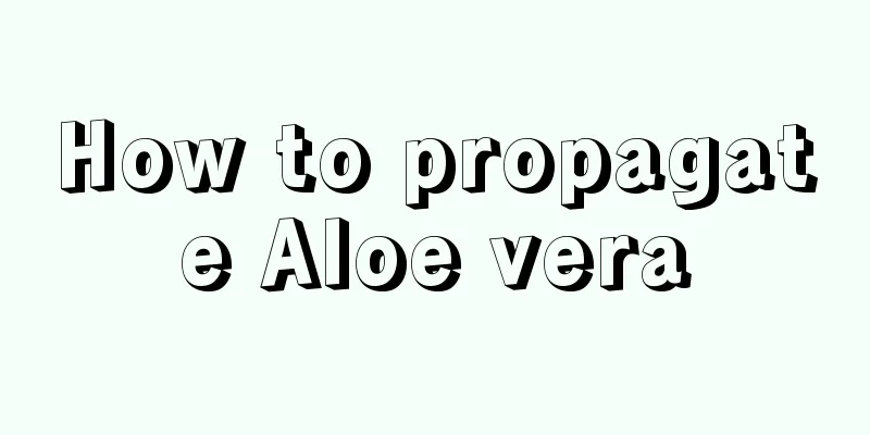 How to propagate Aloe vera