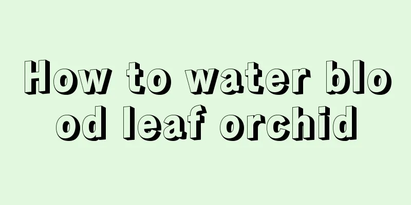 How to water blood leaf orchid