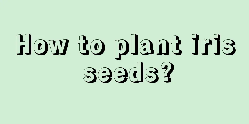 How to plant iris seeds?