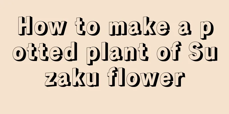 How to make a potted plant of Suzaku flower