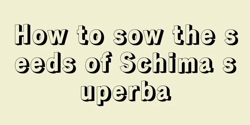 How to sow the seeds of Schima superba