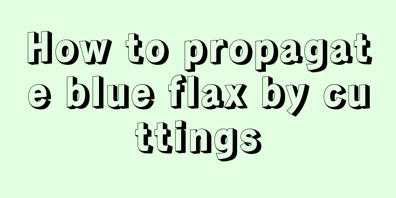 How to propagate blue flax by cuttings