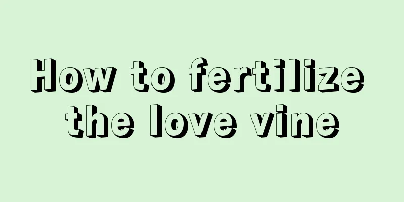 How to fertilize the love vine