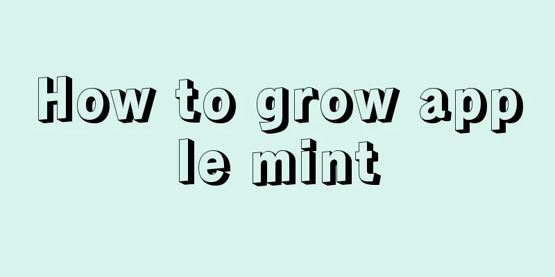 How to grow apple mint