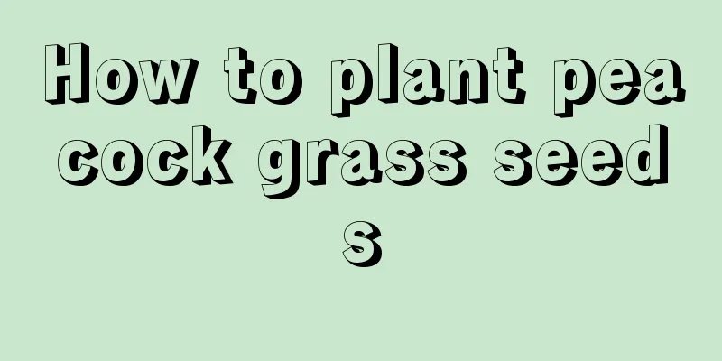 How to plant peacock grass seeds