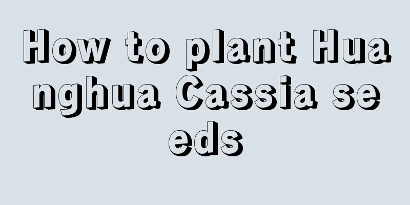 How to plant Huanghua Cassia seeds