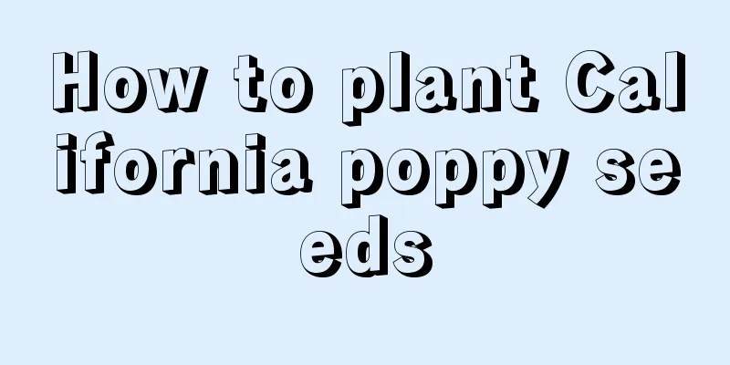 How to plant California poppy seeds