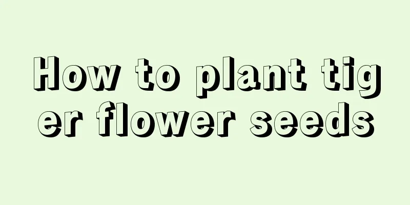 How to plant tiger flower seeds