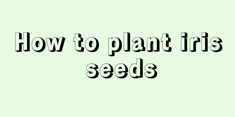 How to plant iris seeds