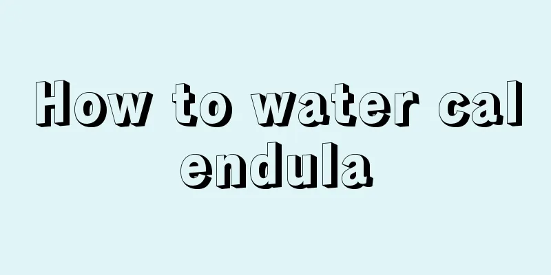 How to water calendula