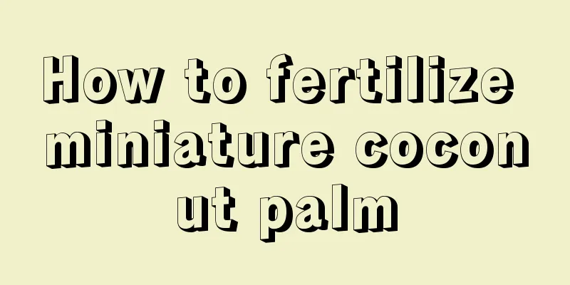 How to fertilize miniature coconut palm