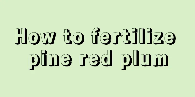 How to fertilize pine red plum