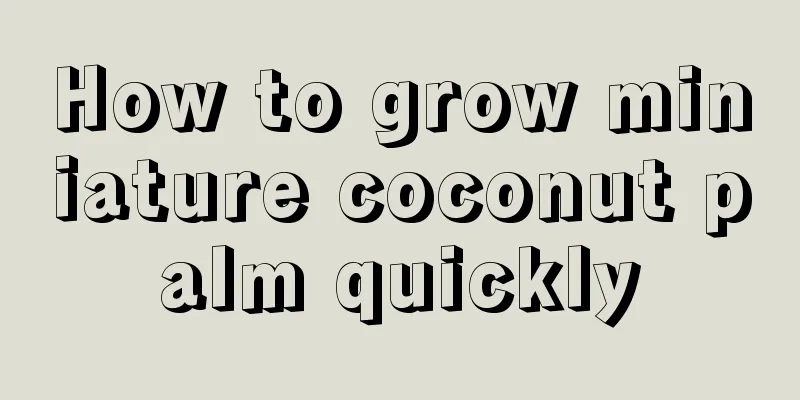 How to grow miniature coconut palm quickly