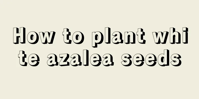 How to plant white azalea seeds