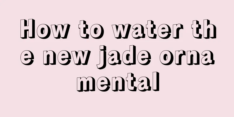 How to water the new jade ornamental