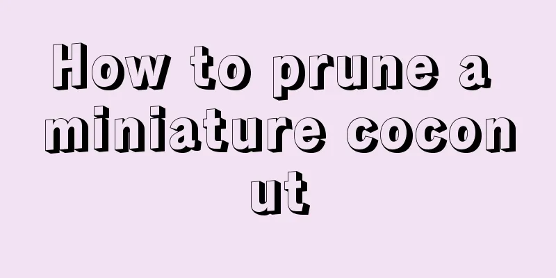 How to prune a miniature coconut