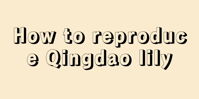 How to reproduce Qingdao lily