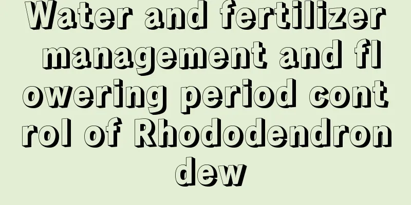 Water and fertilizer management and flowering period control of Rhododendron dew