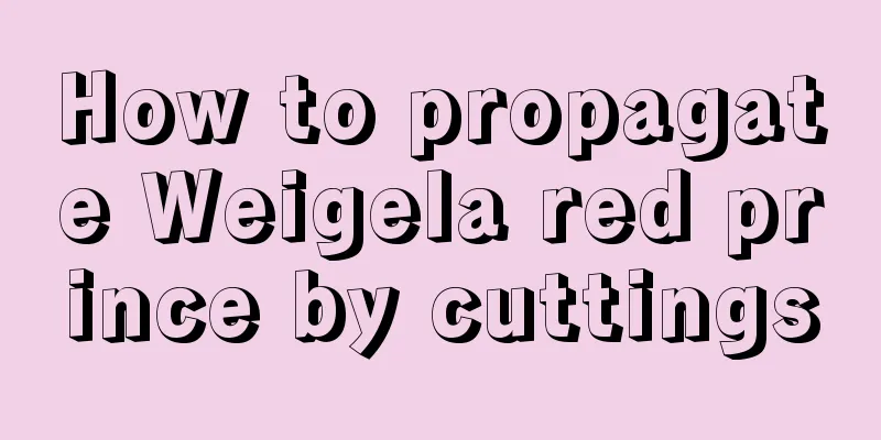 How to propagate Weigela red prince by cuttings