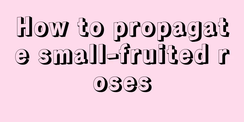 How to propagate small-fruited roses