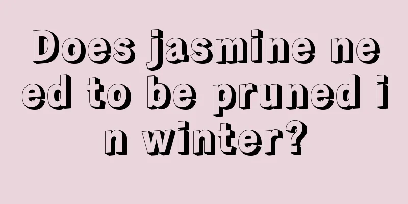 Does jasmine need to be pruned in winter?