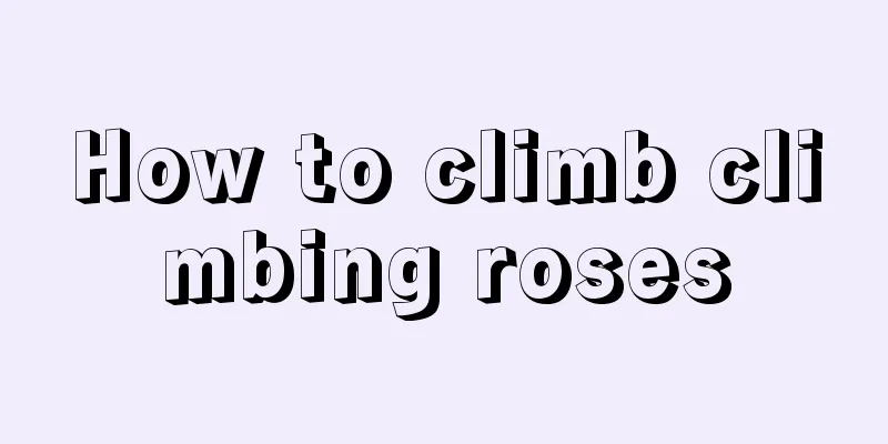 How to climb climbing roses