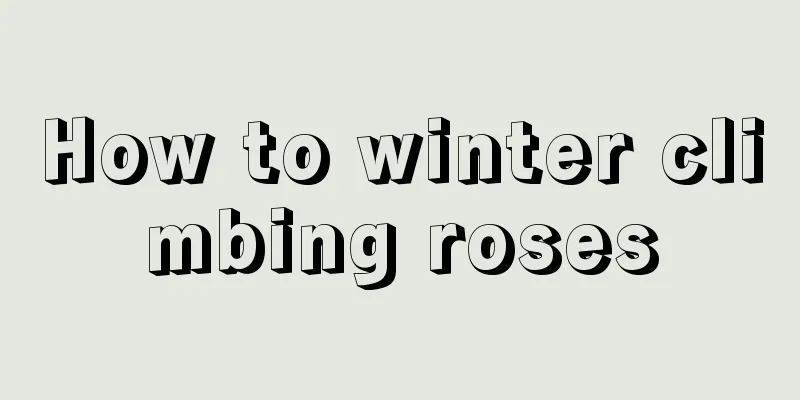 How to winter climbing roses