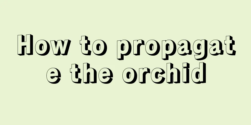 How to propagate the orchid