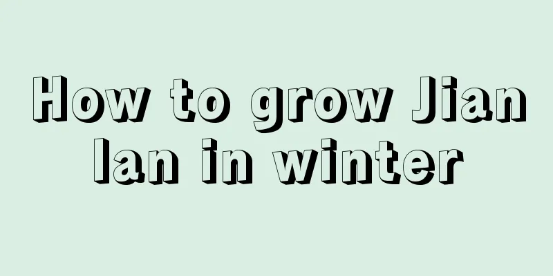 How to grow Jianlan in winter