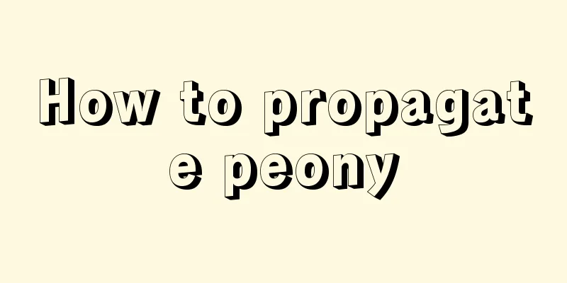 How to propagate peony